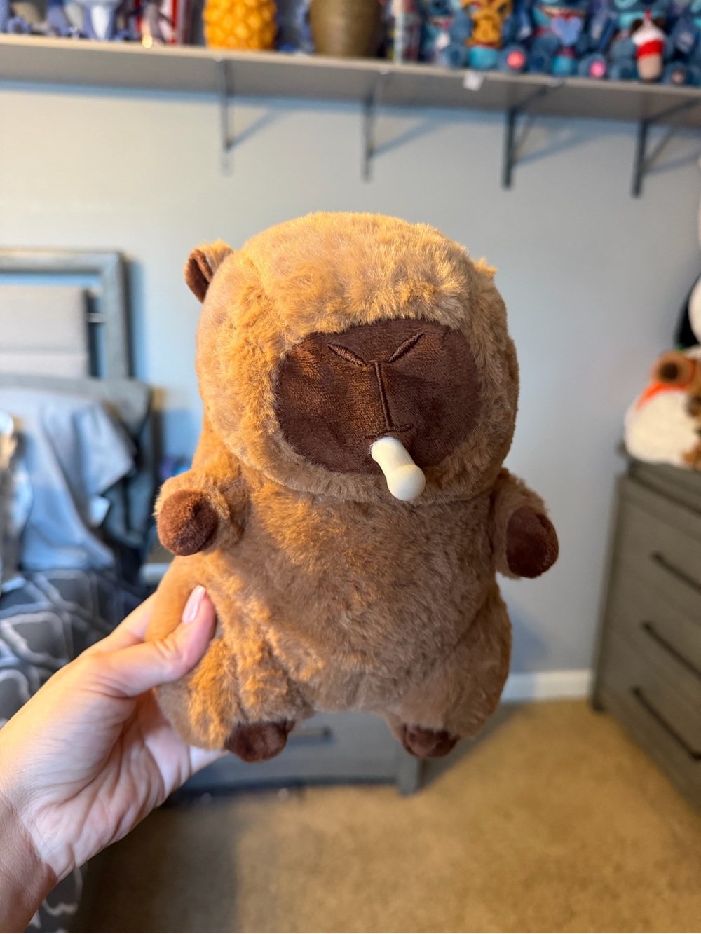 Capybara Plush